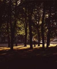 Woman pointing upwards